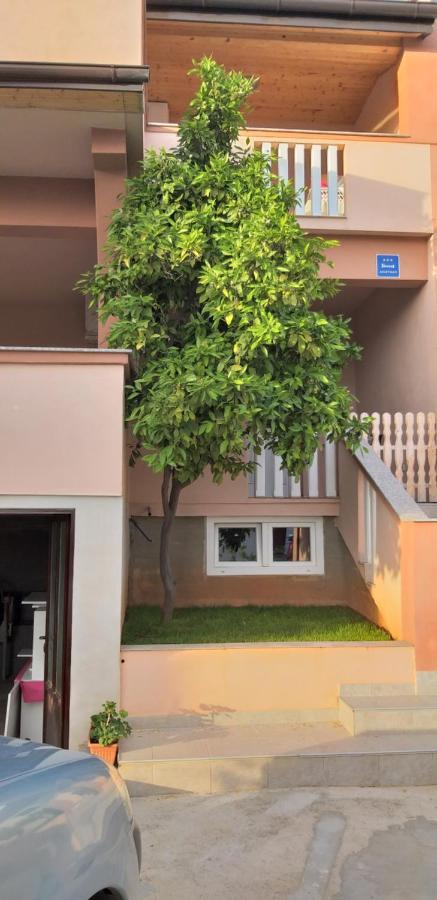 Apartmani Damant Zadar Rom bilde